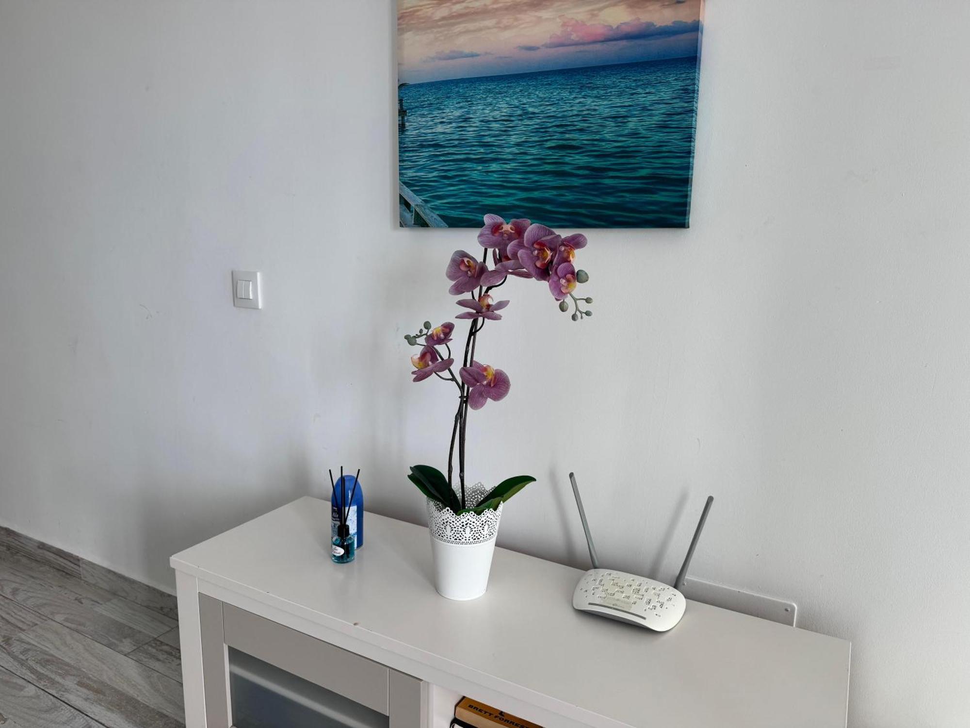Stunning Apartments With Pool Tenerife Costa Adeje  Buitenkant foto