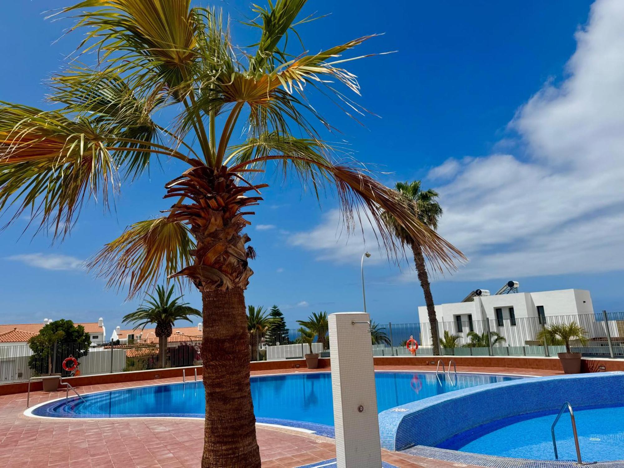 Stunning Apartments With Pool Tenerife Costa Adeje  Buitenkant foto