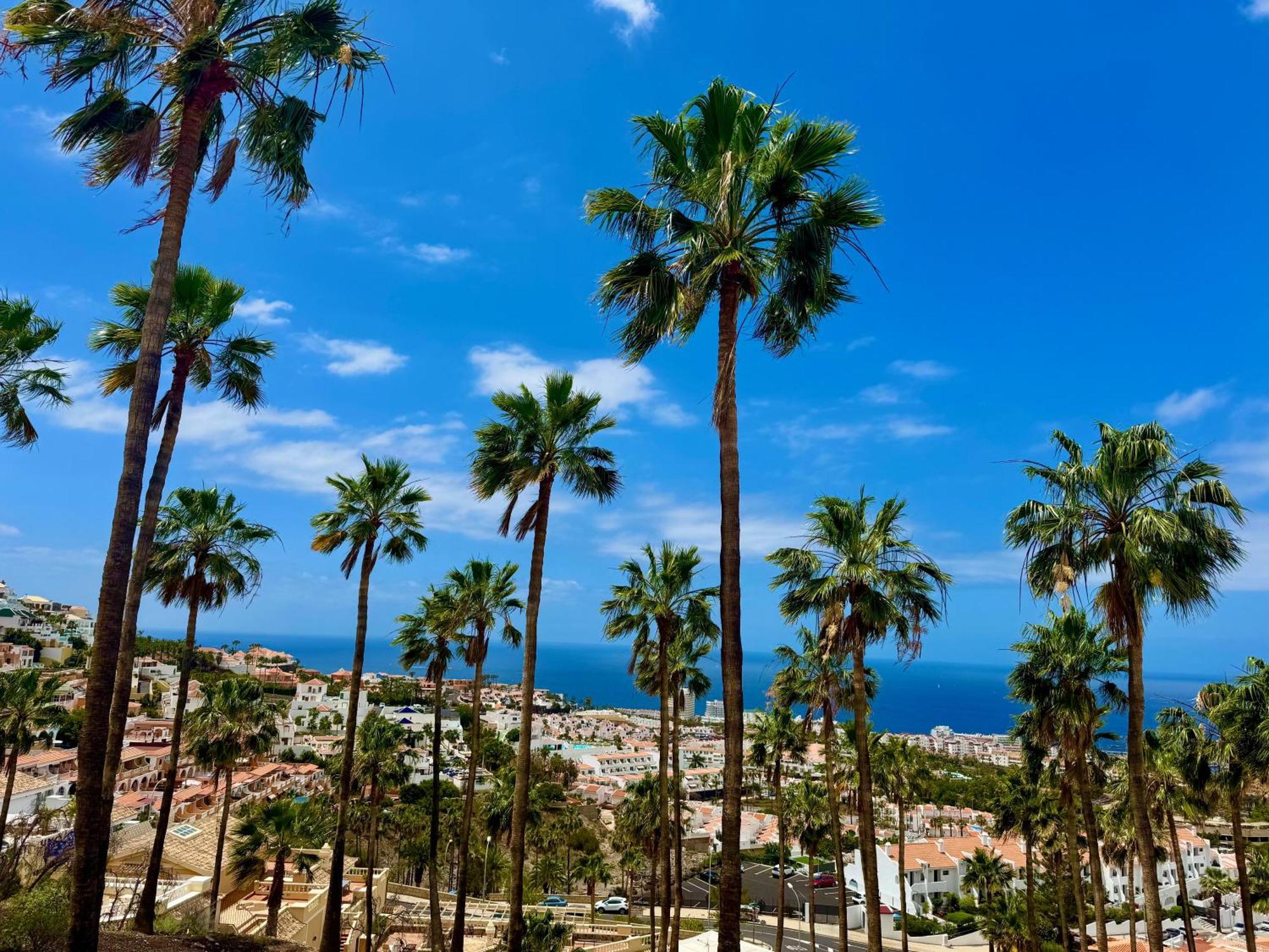 Stunning Apartments With Pool Tenerife Costa Adeje  Buitenkant foto